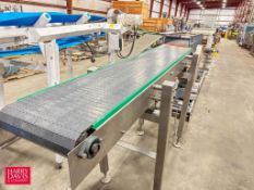 S/S Frame Product Conveyor: 84