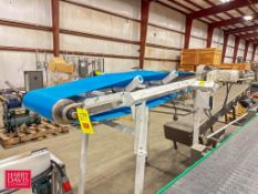 CCS Power Belt Conveyor: 86