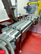 S/S Framed 4-Lane Conveyor: 10' x 18