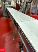 S/S Portable Framed Belt Conveyor with Drive: 19’ x 18