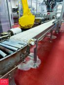 S/S Framed Conveyor: 12' x 14