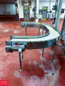 Laughlin S/S Framed Conveyor: 16’ x 14