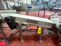 Dorner S/S Framed Belt Incline Conveyor: 48