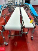 S/S Framed Incline Portable Belt Conveyors: 12' x 1' and 14' x 17