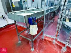 S/S Framed Conveyor: 11' x 23