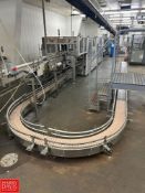 Nercon S/S Framed Case Conveyor: 37' x 7.5