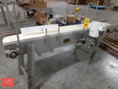 S/S Powered Belt Conveyor: 100