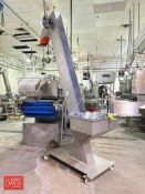 2015 RNA-Vibrant S/S Framed Portable Cap Hopper/Elevator, Model: Elevador, S/N: 2015-19979-02