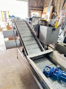 Food Process Systems S/S Inclined Auger Conveyor with Ribbon Mix Hopper and Motor: Mounted on