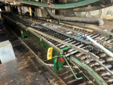 Rapistan Roller Conveyor: 17' x 40