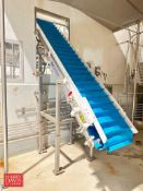 FPA S/S Framed Elevator Conveyor: 19’ x 18