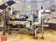 Smalley S/S Vibratory Feeder: 4' x 22