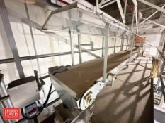 FPA S/S Framed Belt Conveyor: 25’ x 2’ with Drive and S/S Hood (Subject to BULK BID: Lot 55) - Riggi
