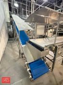 S/S Framed Elevator Conveyor: 23’ x 2’ with Drive and S/S Hood (Subject to BULK BID: Lot 22) - Riggi