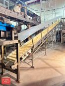 S/S Framed Elevator Conveyor: 36’ x 2' with Drive and S/S Hood (Subject to BULK BID: Lot 22) - Riggi