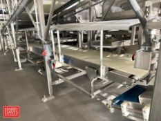 FPA S/S Framed Bell Conveyor: 200