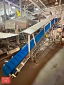 S/S Framed Elevator Conveyor: 20' x 15” with Drive, S/S Hood, (2) Allen-Bradley 2 HP PowerFlex 4 Var