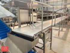 S/S Framed Belt Conveyor: 49’ x 39