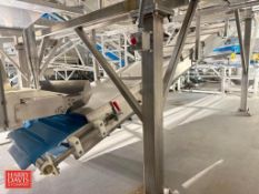 FPA S/S Framed Elevator Conveyor: 20’ x 2’, Model: 420024007, S/N: 22644262 with Removeable S/S Cove