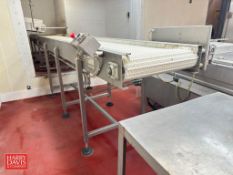 S/S Framed Conveyor: 15' x 2' with Incline Drive and Plastic Table Top Chain - Rigging Fee: $800