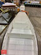 S/S Framed Elevating Conveyor: 168