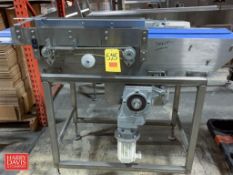 S/S Frame 2-Lane Transfer Conveyor: 60