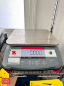 Ohaus Ranger 3000 S/S Table Top Digital Scale: 1’ x 9