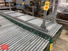 ROACH Power Expandable Conveyor: 161” Length x 31