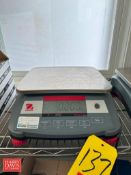 Ohaus Ranger 3000 S/S Table Top Digital Scale: 1’ x 9