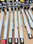 Line TECH Linear Actuator, Model: LM3.2055 BZ155.0.13.05-5NNNNN with Allen-Bradley Servo Motor