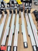 Line TECH Linear Actuator, Model: LM3.2055 BZ155.0.13.05-5NNNNN with Allen-Bradley Servo Motor