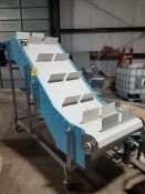 Dyna Clean Incline Belt Conveyor, Model: CLNS-33146, S/N 601050, 30