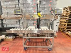 Sawvel Automation Portable S/S Framed Semi-Automatic Dual Station Digital Liquid Bulk Filler