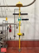 Emergency Eye Wash and Shower Station - Rigging Fee: $100