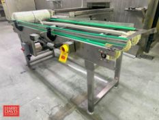 S/S Framed Conveyor: 80” x 2’ with Drive and Plastic Table-Top Chain - Rigging Fee: $100