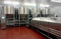 Ricotta & Cheddar Cheese Processing Equipment