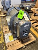 NEW GARDNER DENVER ROTARY POSITIVE DISPLACEMENT BLOWER PUMP HEAD, MODEL GAHMBPA, S/N S670745, 1800