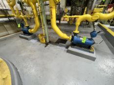 (2) CHEMPUMP AMMONIA ANHYDROUS CENTRIFUGAL PUMPS, MODEL CVE-7 1/2-3T (SIMPLE LOADING FEE $495)