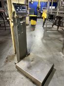 FAIRBANKS DIGITAL PLATFORM SCALE (SIMPLE LOADING FEE $110)