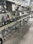 SECTION OF SIDEL S/S CONVEYOR APPROX 14 FT
