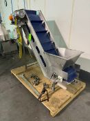 EIS S/S Incline Conveyor