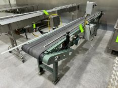 Straight Section of Hytrol Case Conveyor