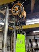 (1)HARRINGTON 1 TON ELECTRIC HOIST (1)3 TON HOIST SYSTEM