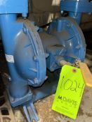 SANDPIPER DIAPHRAGM PUMP DATE:01/24/18 W/O:456411 P/N: S20B1ABBANS000 WET:476.042.360 AIR 476.227.