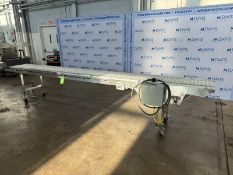 Bogner Industries Inc. Straight Section of Conveyor, Aprox. 15 ft. L x 18