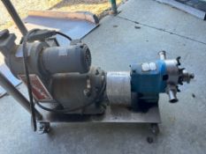 Used Waukesha Pump, Size 30. Sanitary Steel Construction. 2 hp Motor Three Phase 60 cycle 1730