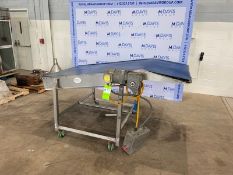 Brenda Mfg. Inc. S/S Incline/Flat Top Conveyor, with Aprox. 40