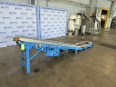 Straight Section of Incline Conveyor, Aprox. 14 ft. L with Aprox. 12