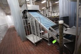 INCLINE CLEATED CONVEYOR,