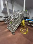 S/S CONVEYOR CROSSOVER PLATFORM, APPROX. 250 IN. L